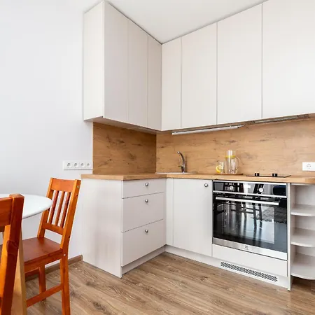 アパート Alkos Namu Apartamentai パランガ